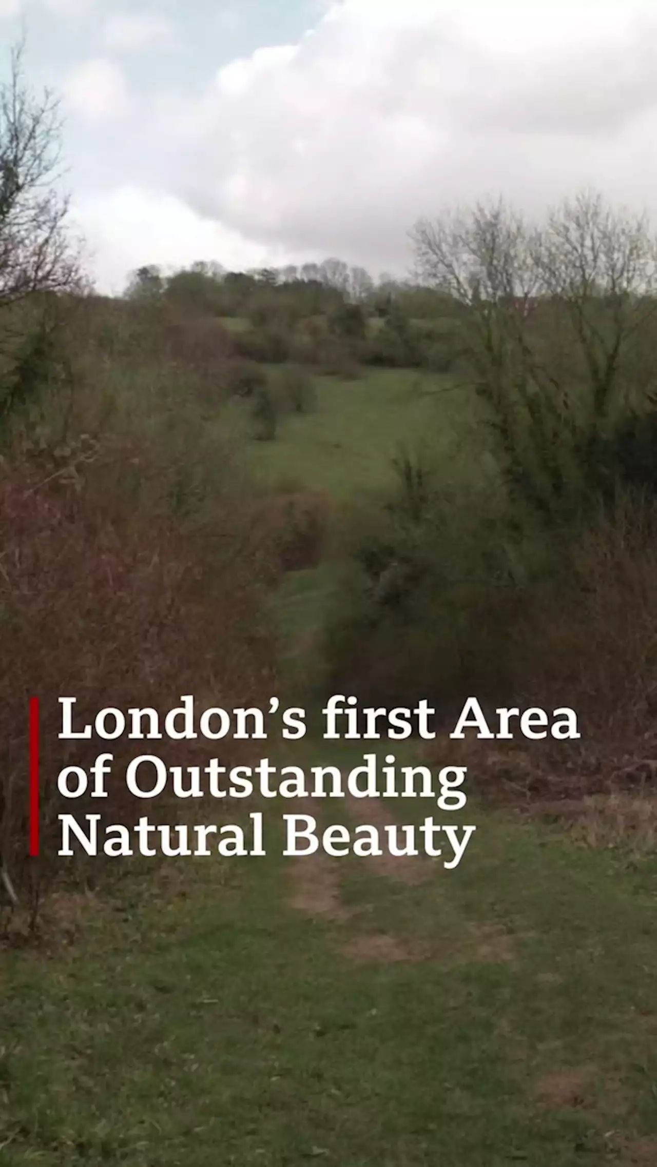 London could get first outstanding beauty area