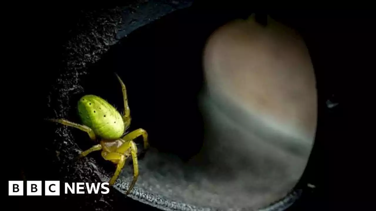 Scottish Nature Photography Award winners announced