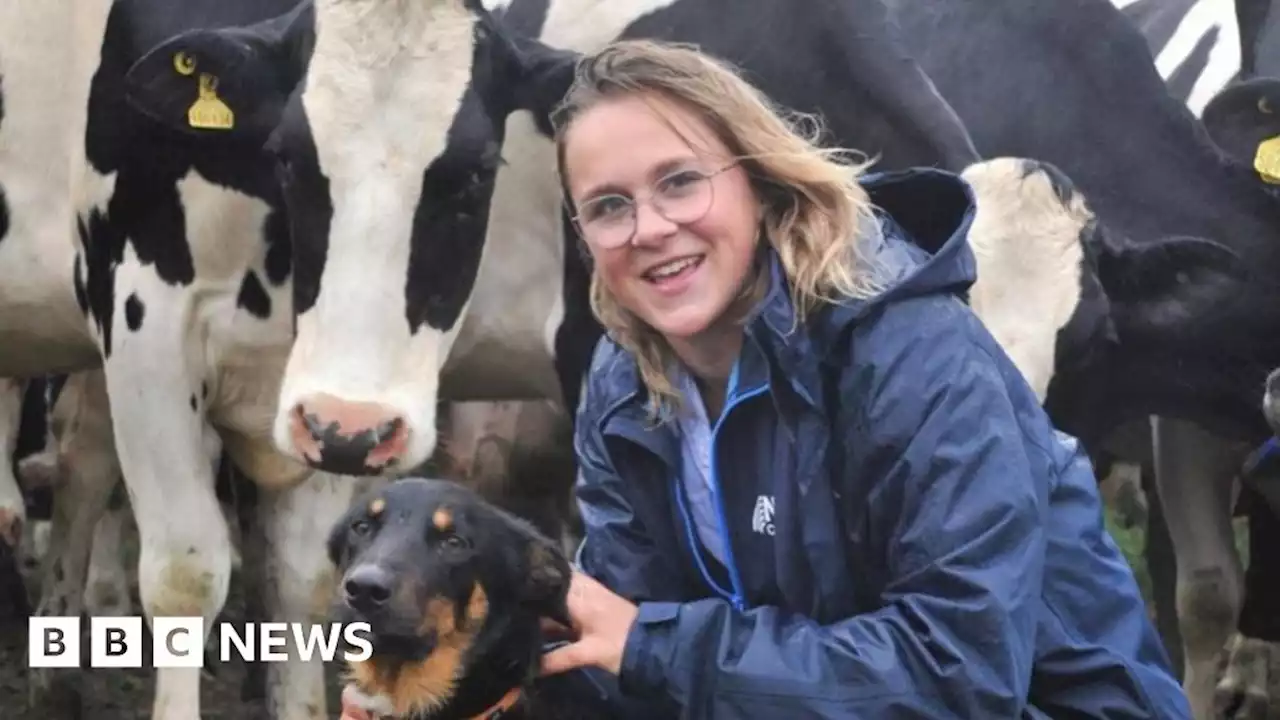 Bovine TB: Young farmer in tears after TB hits 55 cows