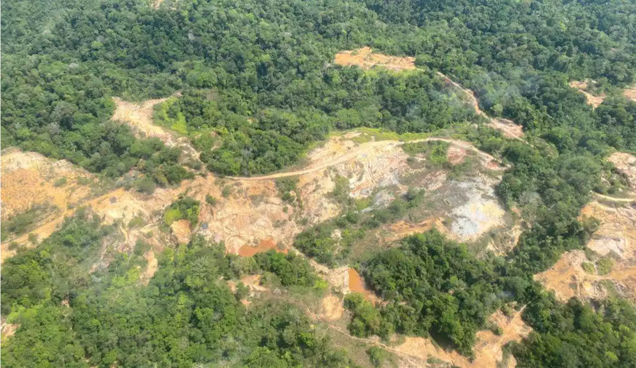 Gobierno reveló que Clan del Golfo pidió frenar operaciones contra minería ilegal