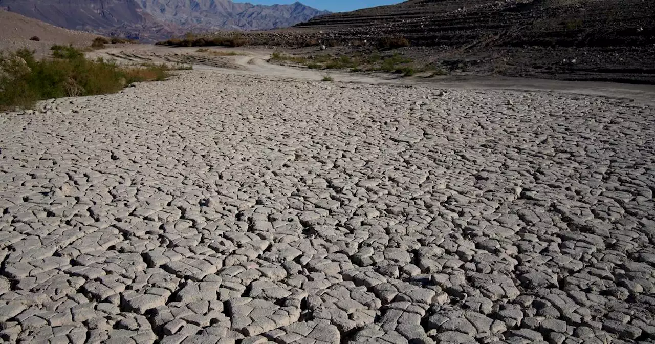 Human remains found in Lake Mead identified as 1974 drowning victim