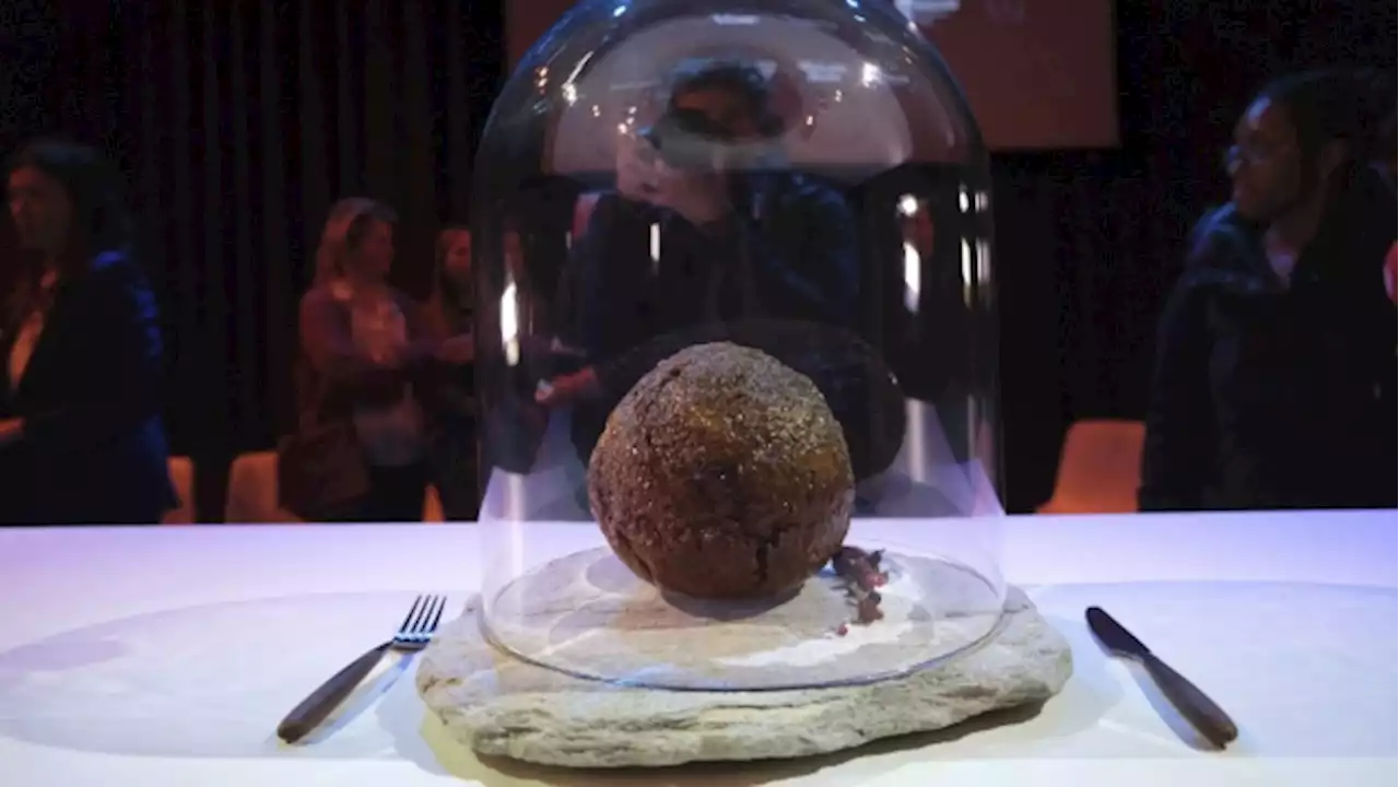 Elephant in the dining room: Startup makes mammoth meatball