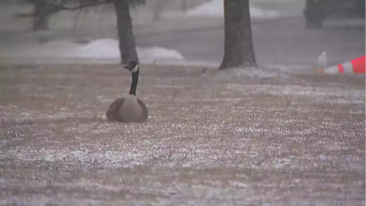 Winter weather travel advisory in effect: cold front brings ‘burst of heavy snow’ to GTA