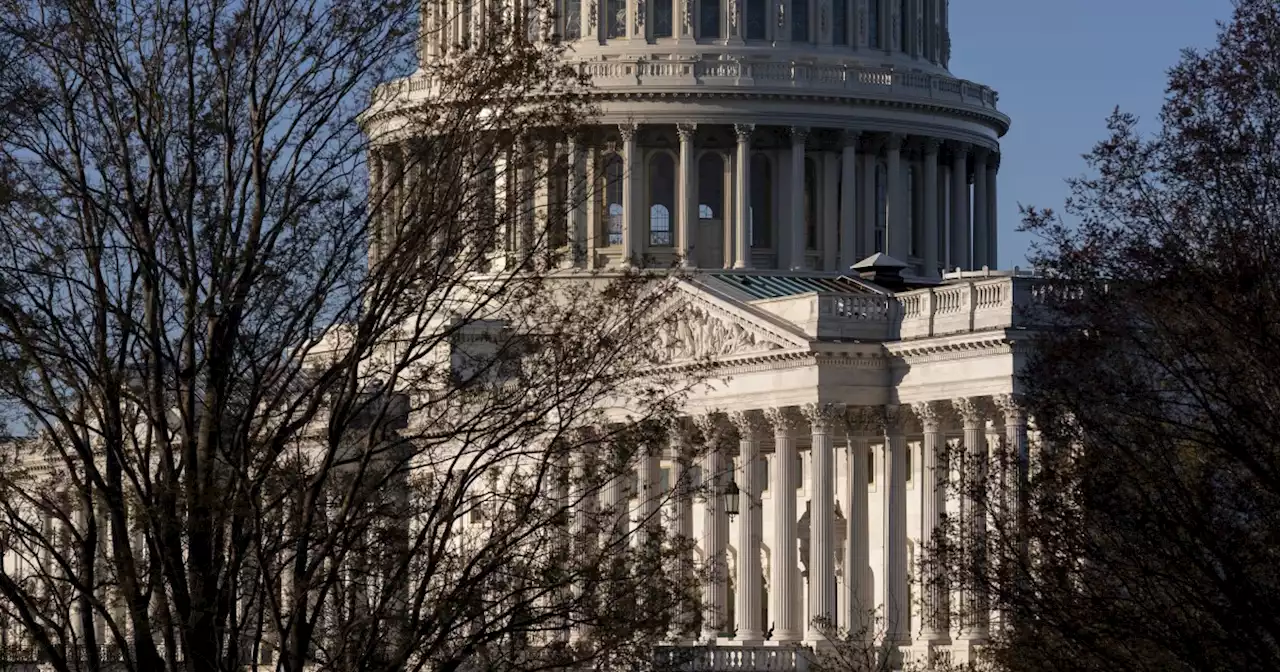 Rand Paul staffer suffered deep knife wound to head in DC attack