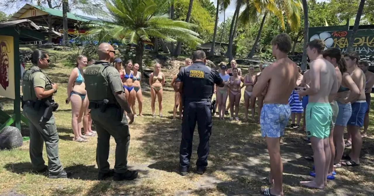 Hawaii authorities say 33 swimmers were harassing dolphins