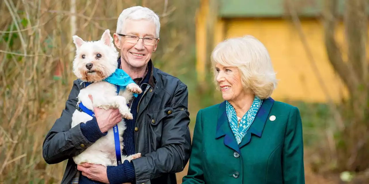 ITV changes schedule for Paul O'Grady tribute