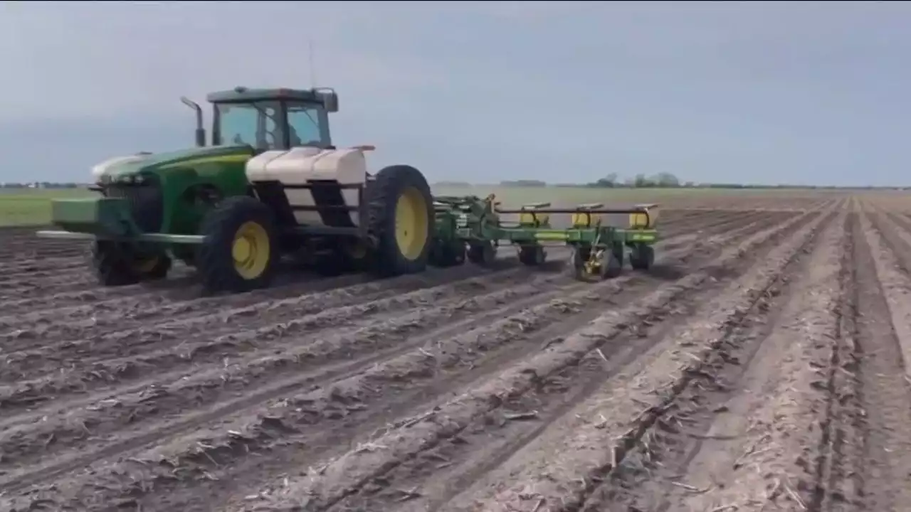 After a devastating drought, Texas farmers hope a new growing season bring more success