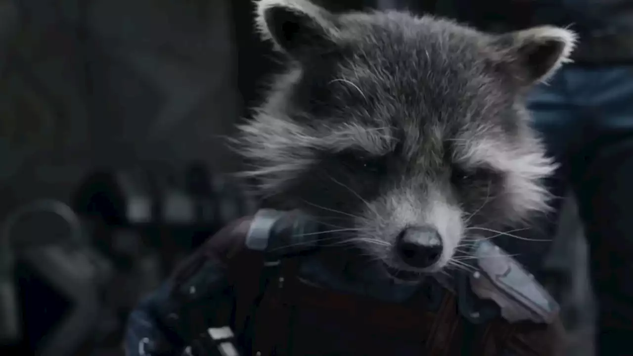 Guardians of the Galaxy Trilogy Ends With Rocket Raccoon at Its Heart