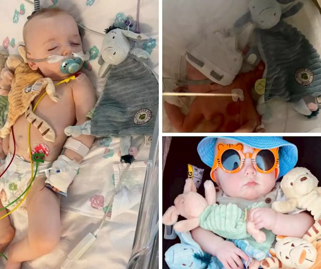 Desperate plea to find brave Irvine tot's lost teddy that helped him through surgery