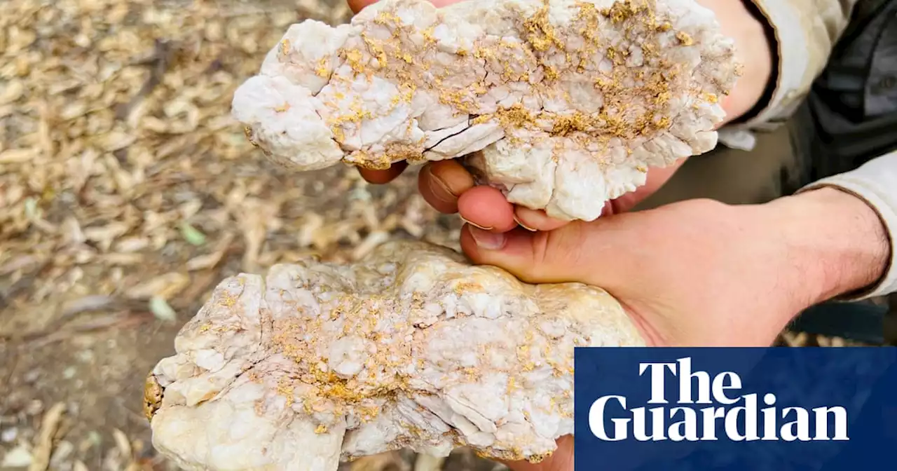 Australian man finds gold nugget worth $250,000 in Victoria