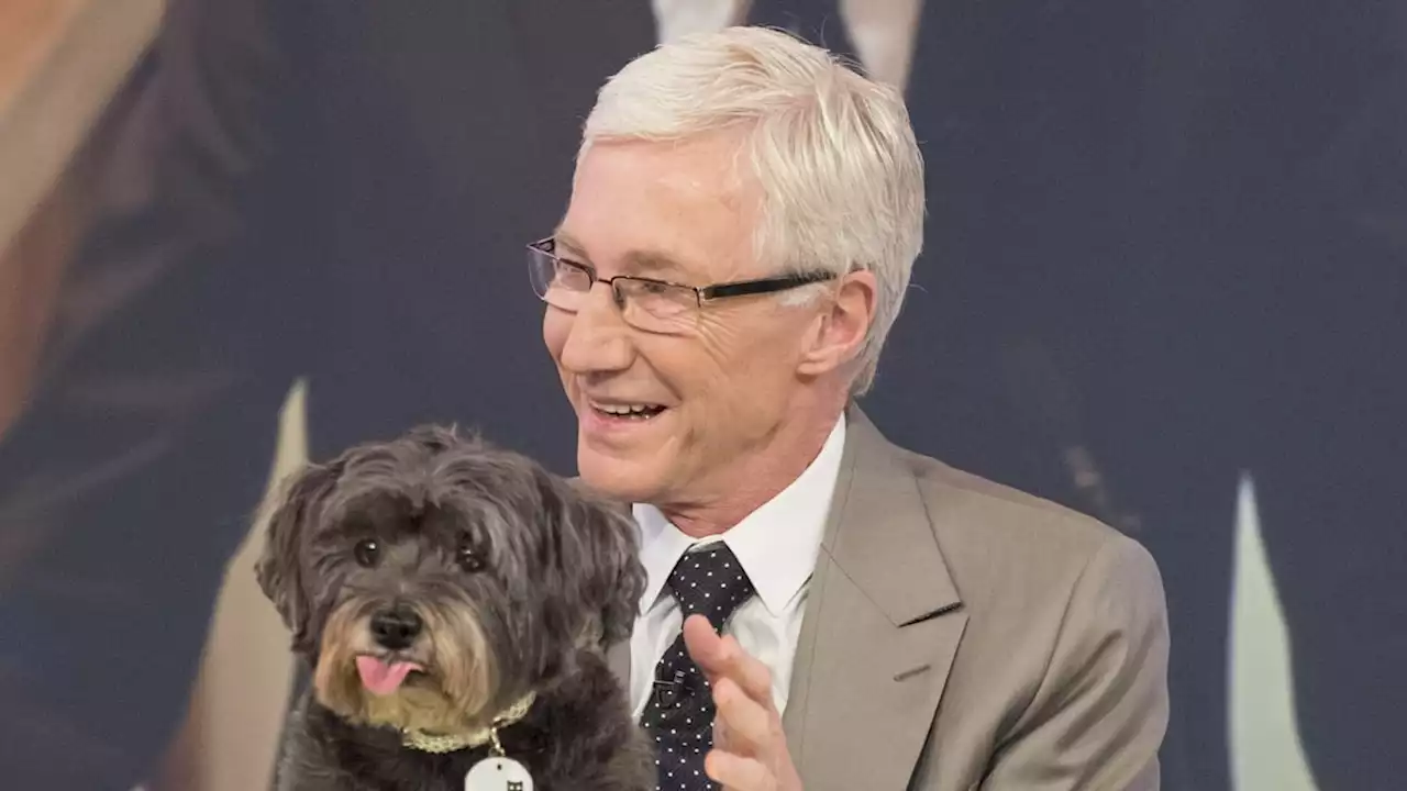 Paul O'Grady's beloved dogs who brought such joy to the star's life