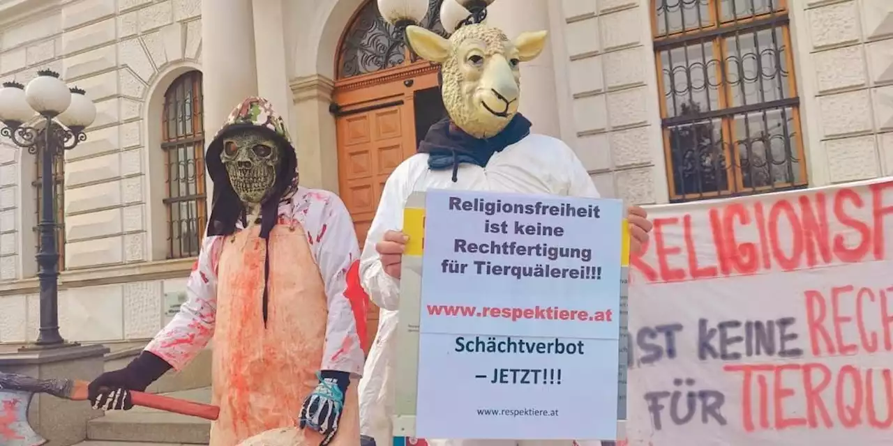 213 Schafe tot: 'Religion rechtfertigt kein Tierleid'