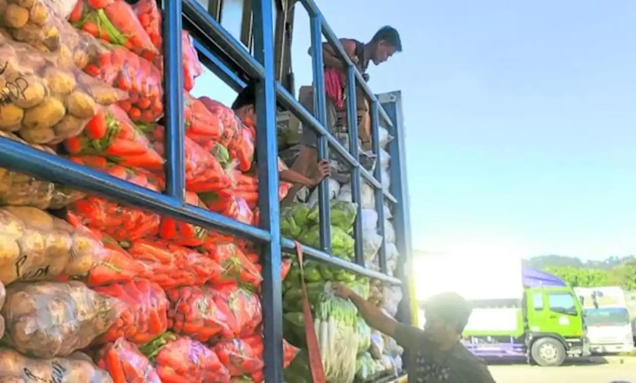 DA probes ‘expensive’ Benguet vegetables