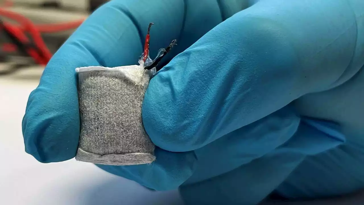 New fuel cell implant can help manage type-1 diabetes