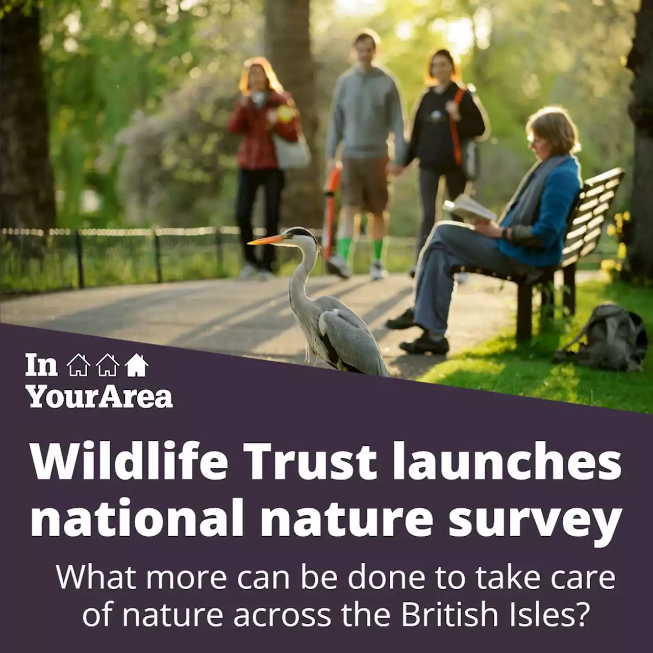 Northumberland Wildlife Trust launch national nature survey