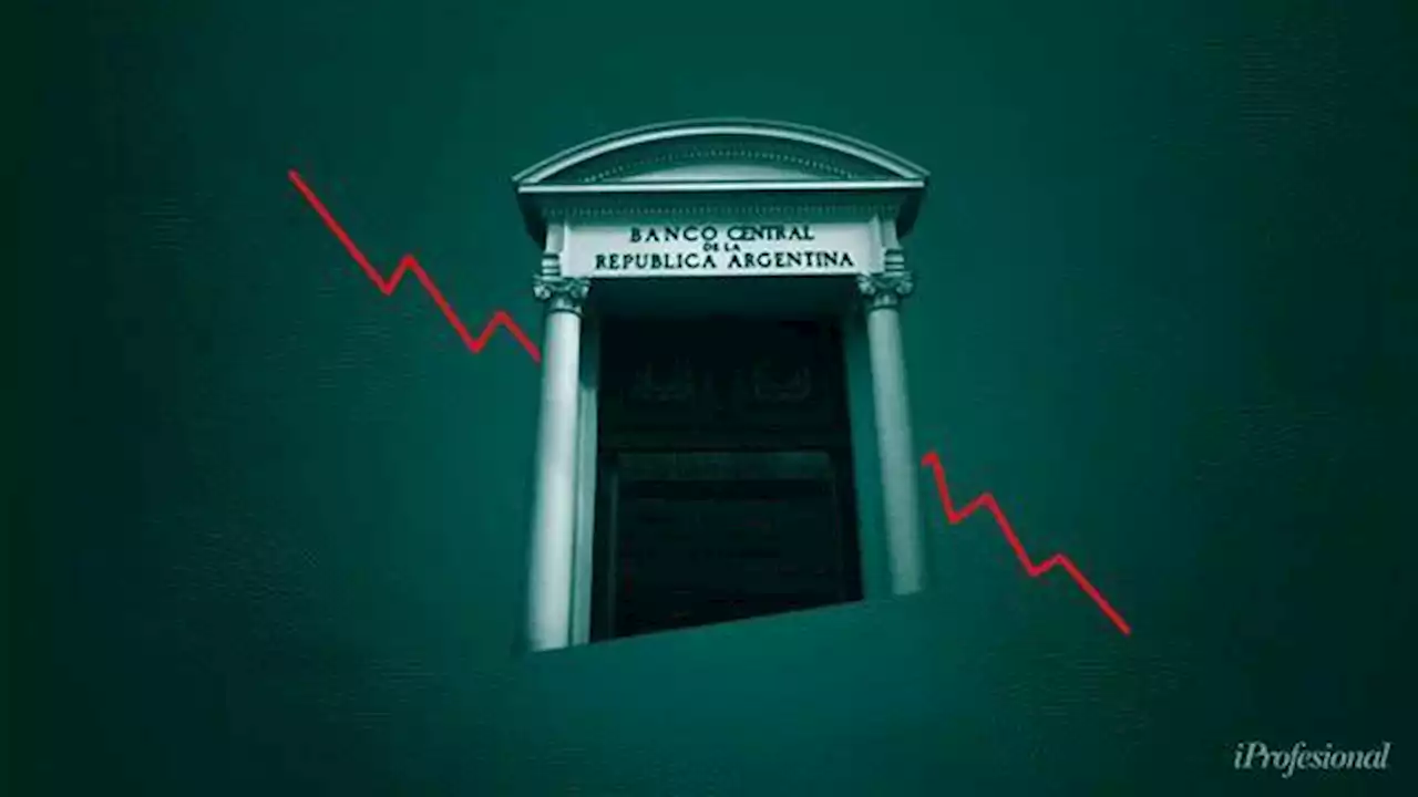 En que se fueron los dólares del Banco Central este año