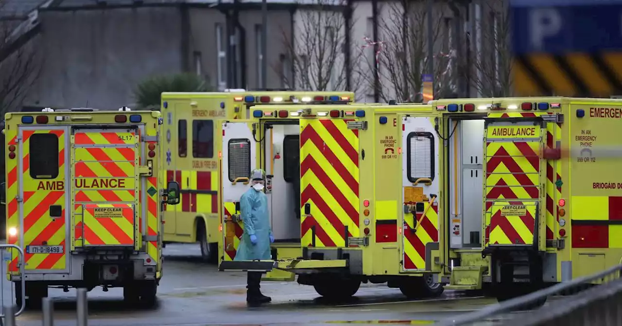 Irish health service responded ‘effectively’ to Covid pandemic, finds study