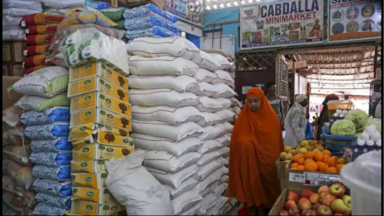 Ramadan Prihatin di Tengah Kekeringan Somalia, Warga Terpaksa Andalkan Takjil di Kamp Pengungsian