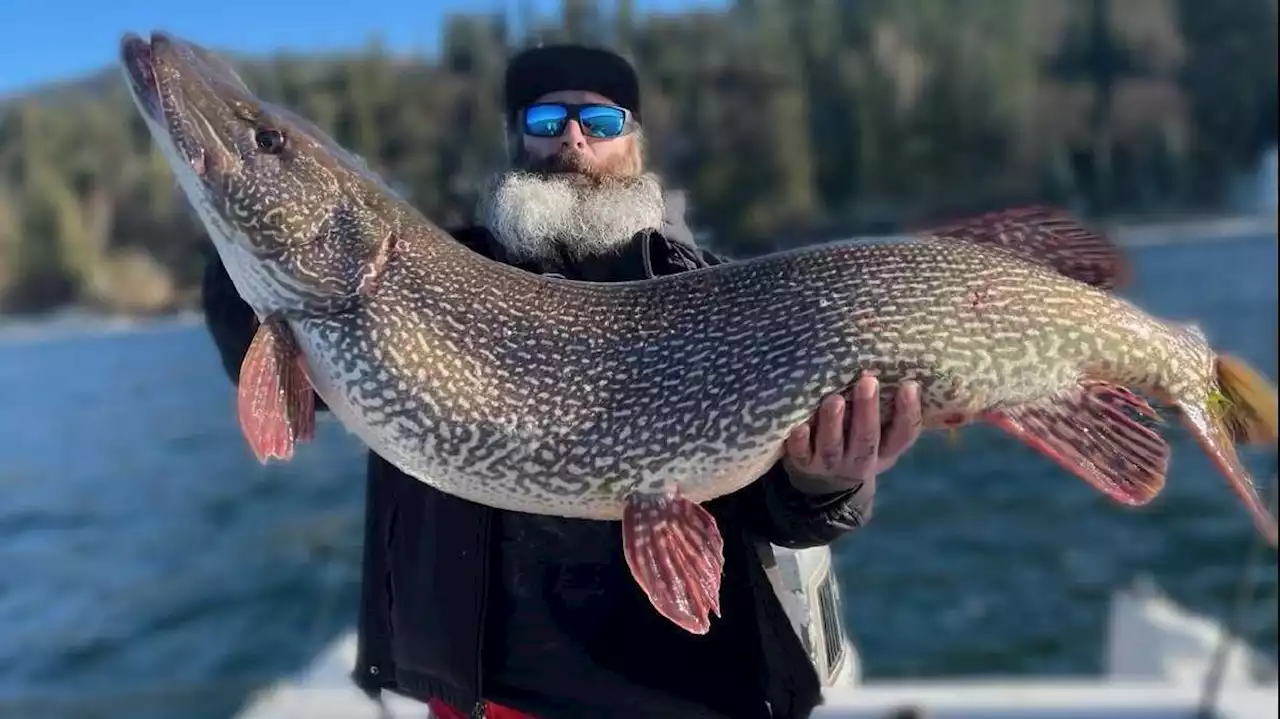 Angler breaks Idaho's northern pike record with impressive catch