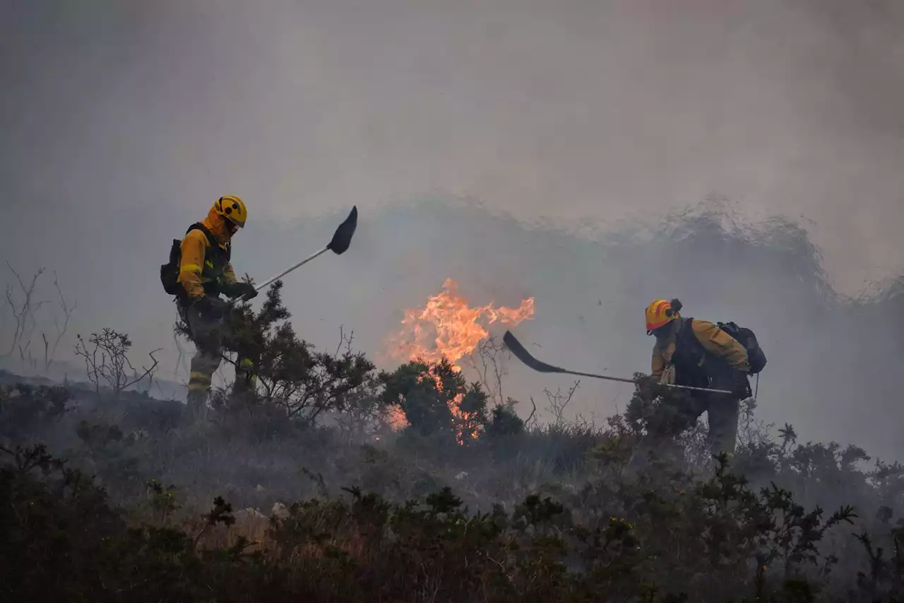 Asturias solicita la ayuda de la UME ante el aumento de los incendios forestales, más de 50