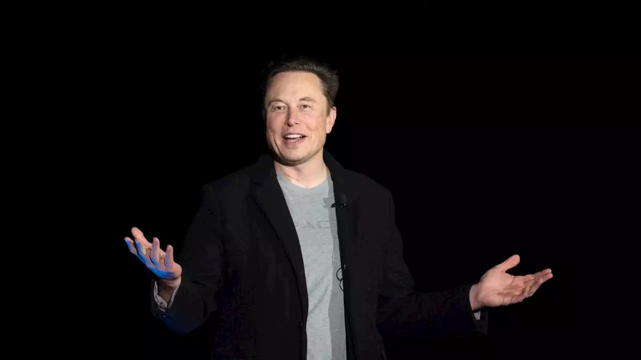 Elon Musk contro l’intelligenza artificiale: “Fermiamola, è un rischio per l'umanità”