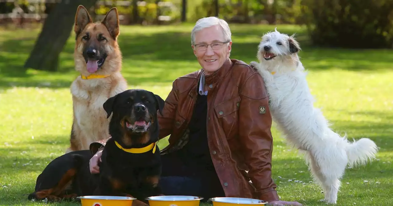 Paul O'Grady's final hours 'surrounded by dogs, laughing and full of life'