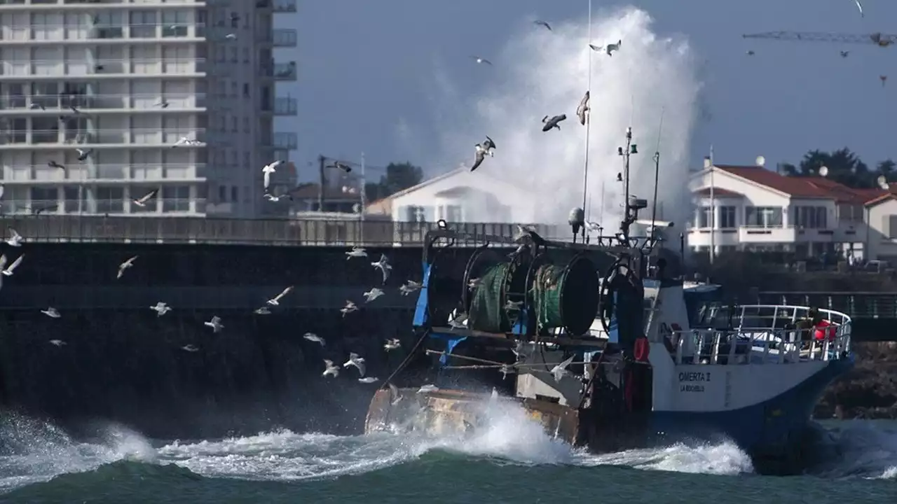 En colère, les pêcheurs appellent à des journées mortes dans les ports