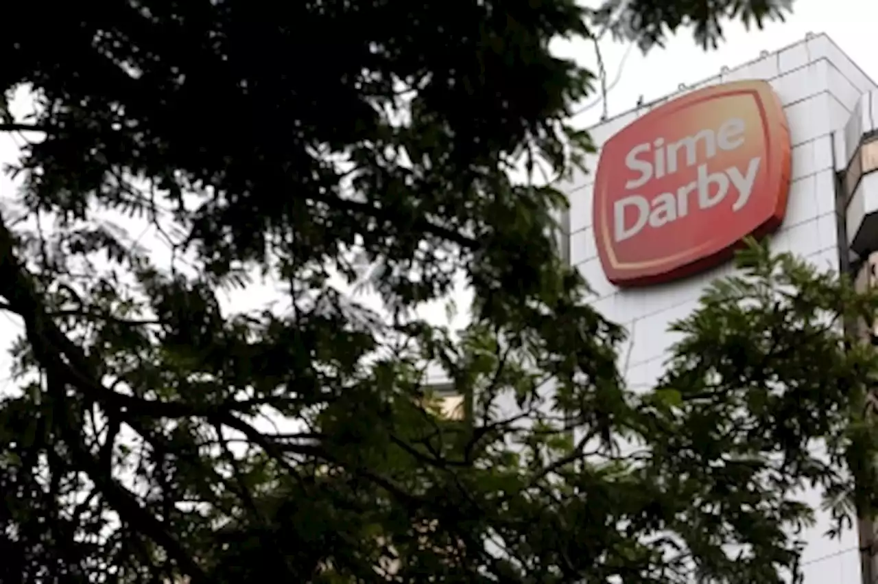 Ramsay, Sime Darby plan to revive sale of Asia healthcare venture, say sources