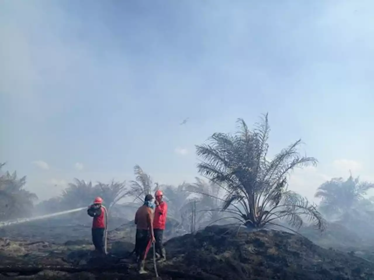 Belasan Titik Panas Terpantau Muncul Di Bangka Selatan