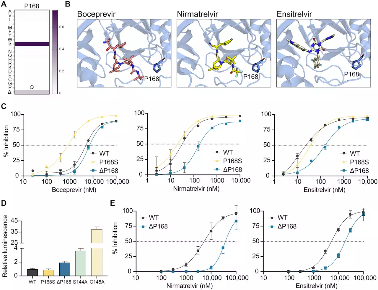 Study finds evidence of resistance to COVID-19 drugs