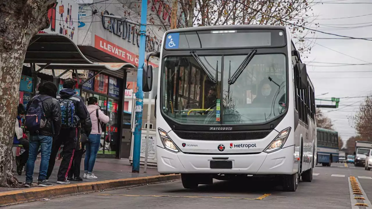 Paro de colectivos: podrían quitarle la concesión a la empresa Metropol