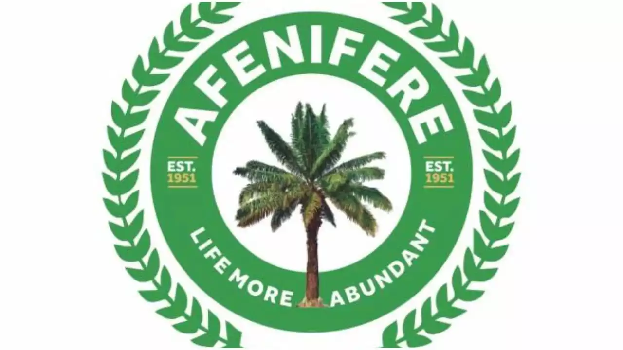 Afenifere's rejection of presidential poll misplaced priority - Group