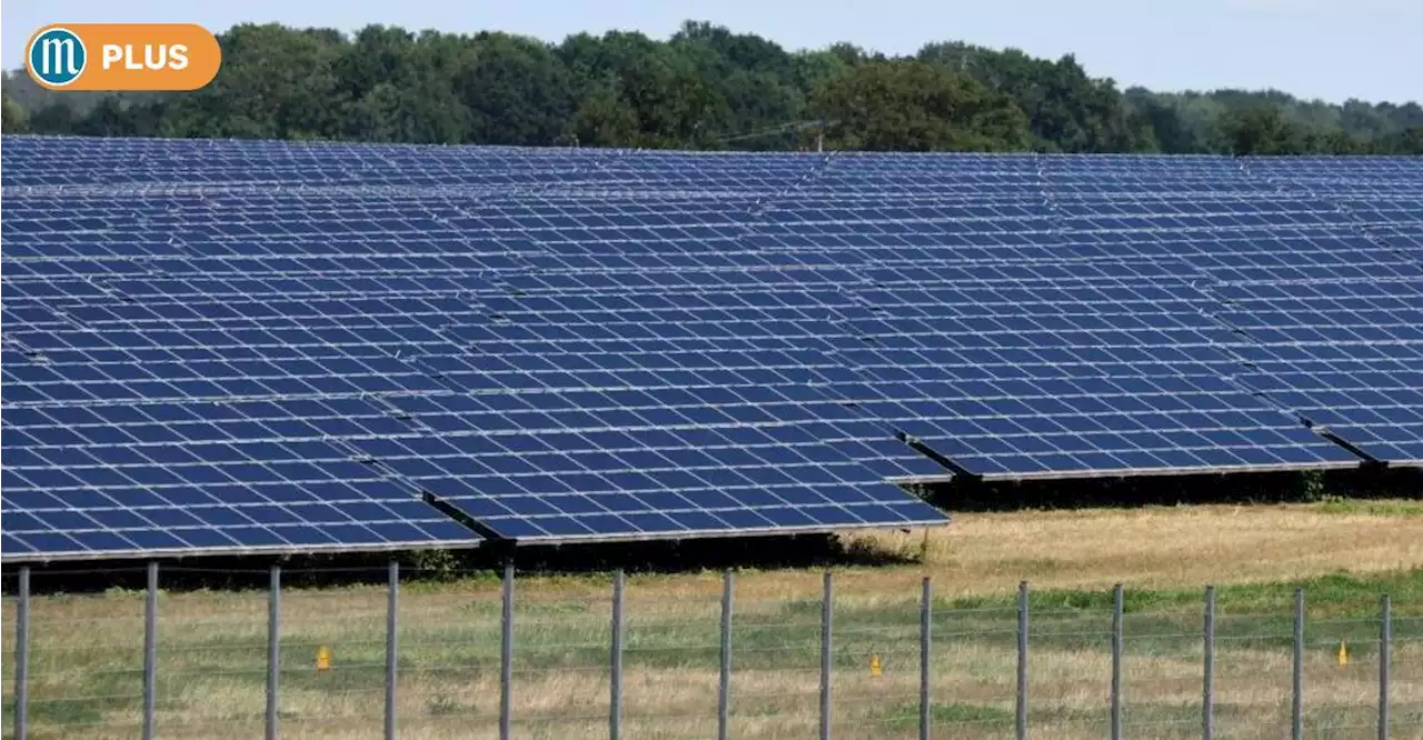 Neue Solaranlage bei Pölling geplant – gibt das wieder Ärger?