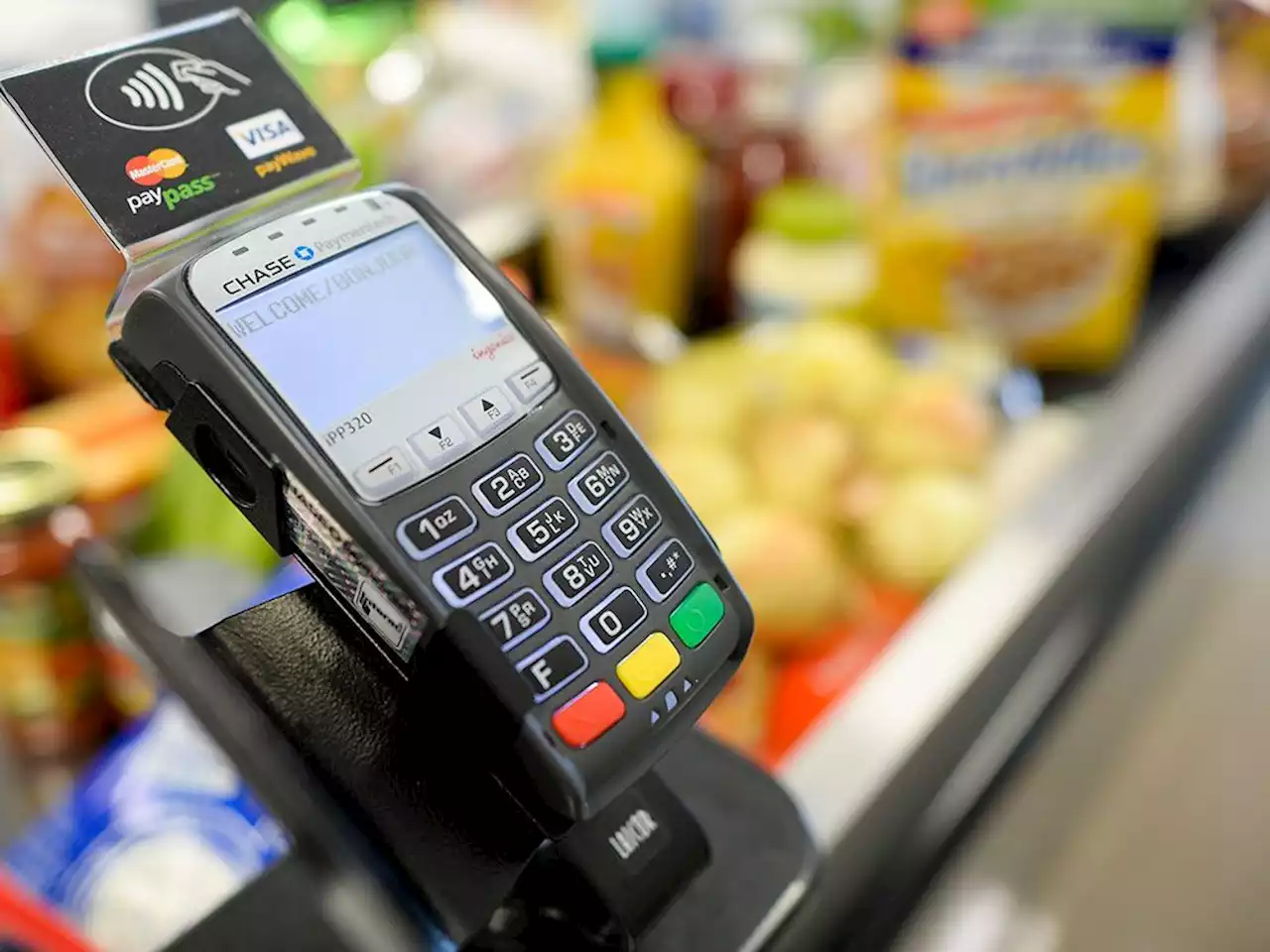 Grocery rebates to junking junk fees: What's in the federal budget for ordinary Canadians