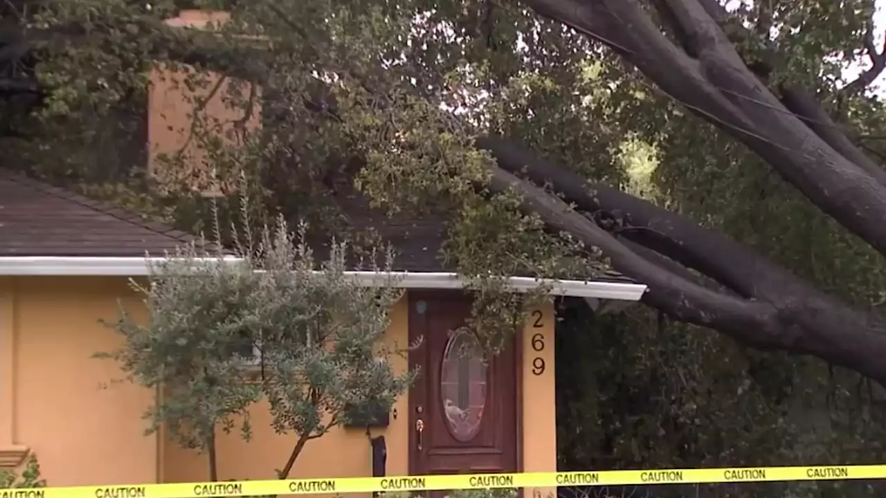 Another Round of High Winds, Rain Damage Bay Area Homes