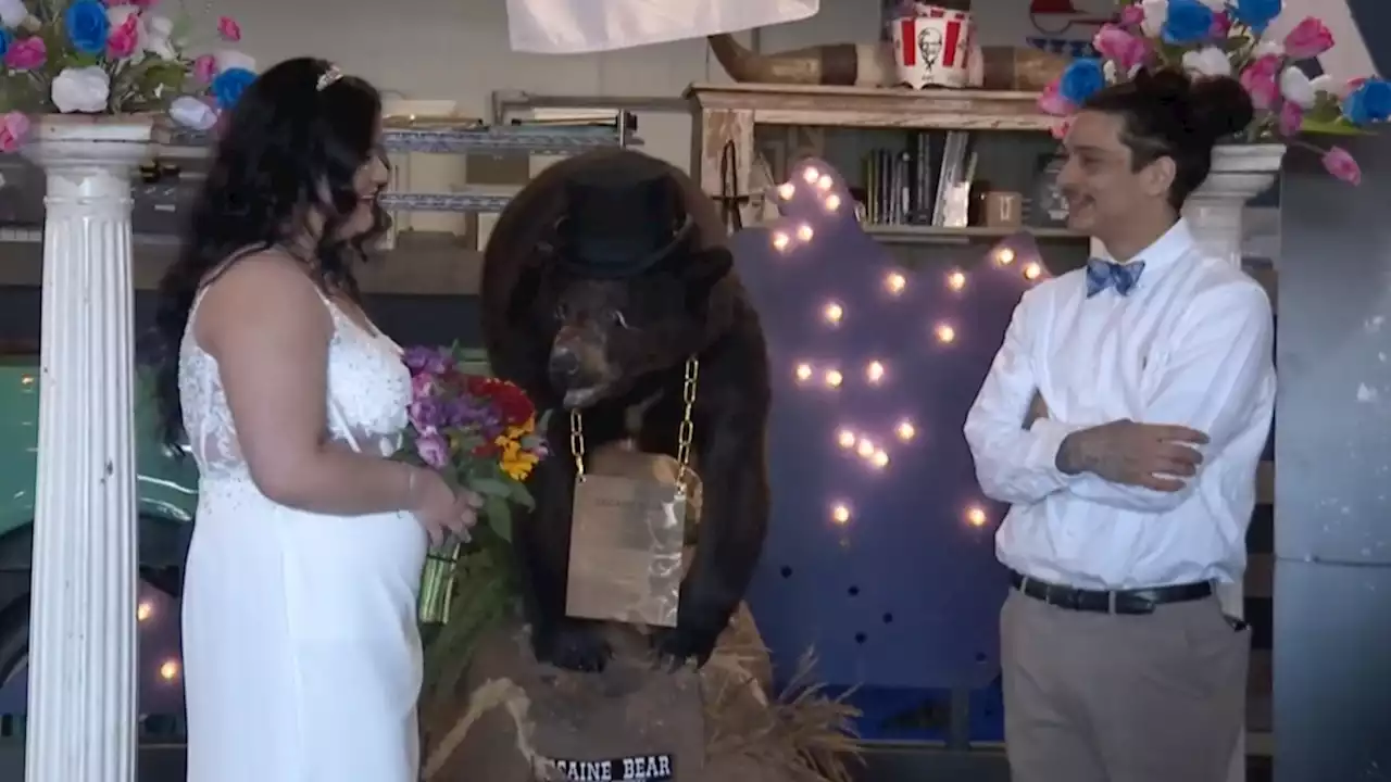 Kentucky Couple Ties the Knot in Front of 'Cocaine Bear'