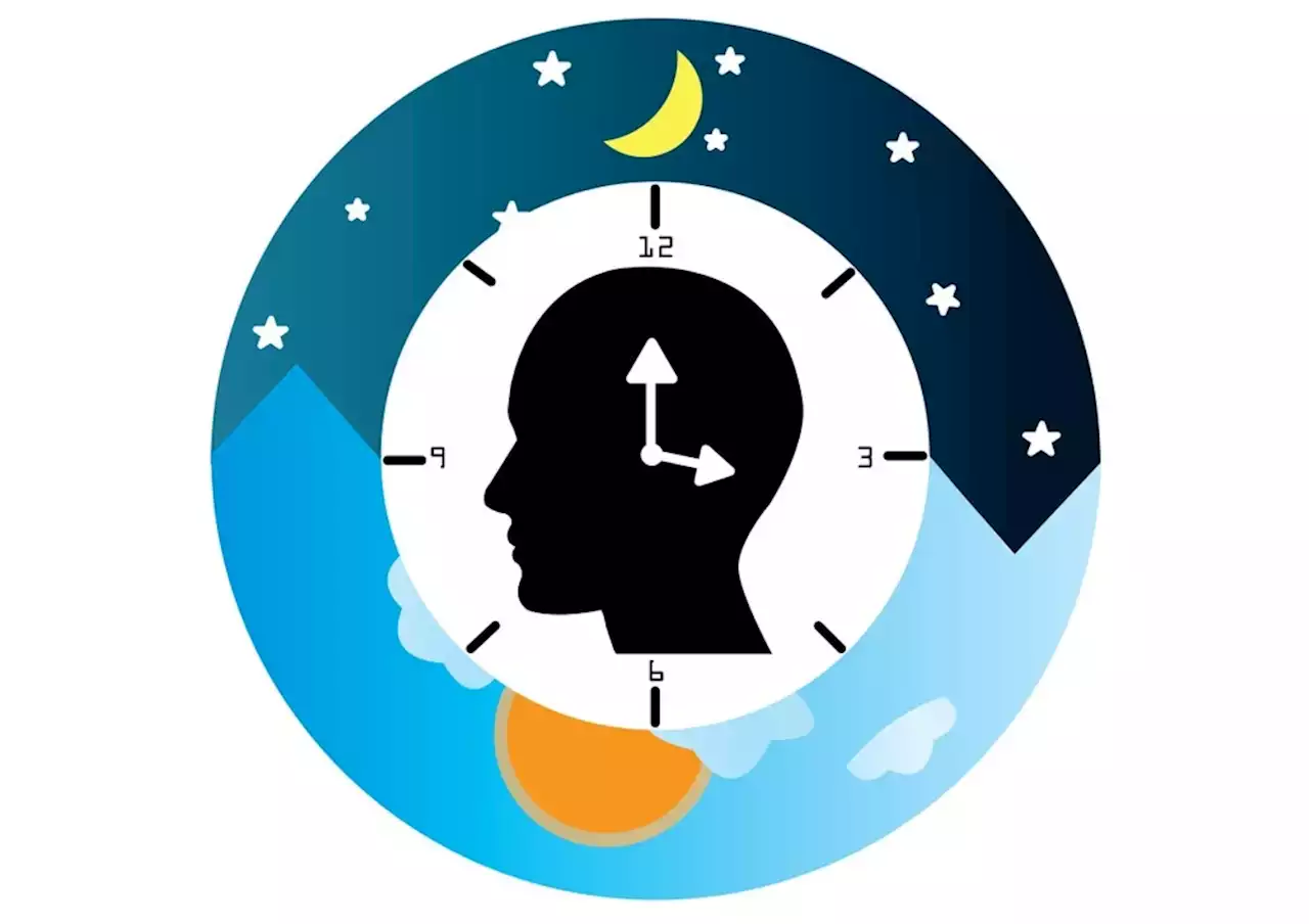 Clockwork in cancer: the importance of the circadian rhythm in the formation and progression of tumors