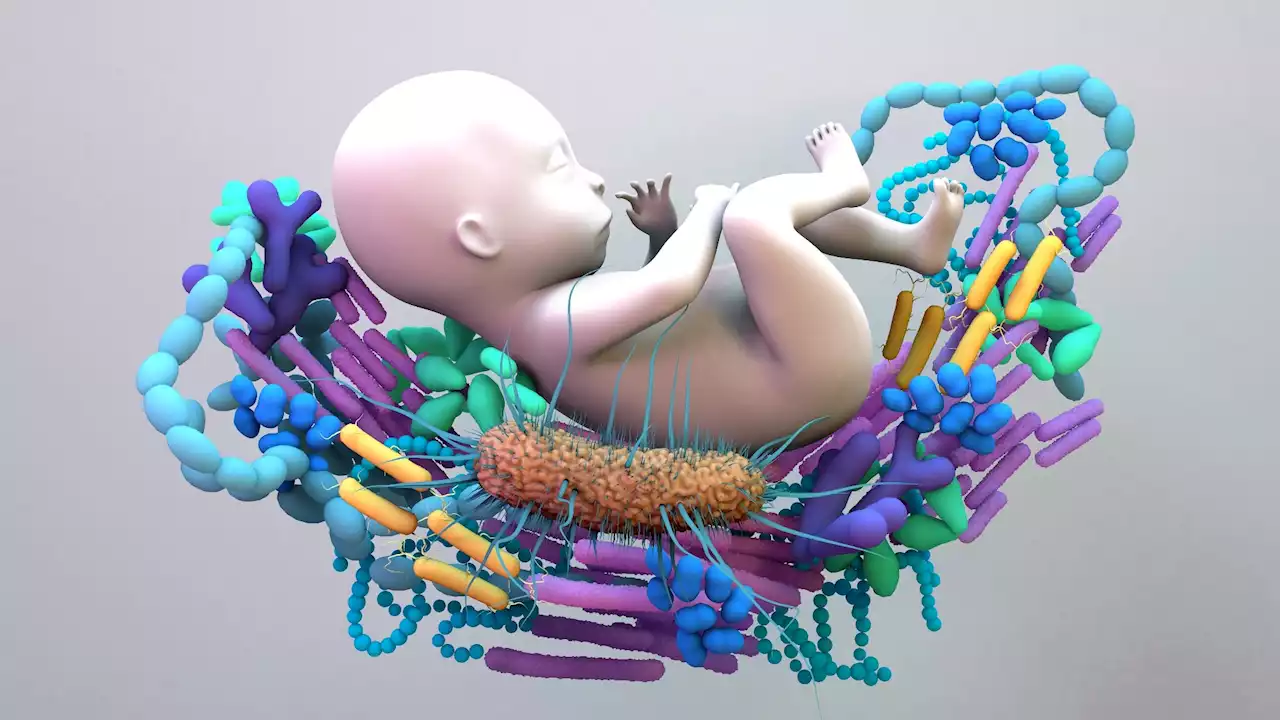 Study links altered gut microbiome to allergies in infants raised under COVID-19 lockdown