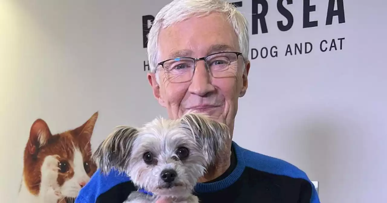 Paul O’Grady a ‘champion for the underdog’, says Battersea Dogs and Cats Home