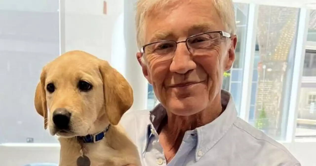 Paul O'Grady's lifelong love for animals including rehoming 80 dogs and cats