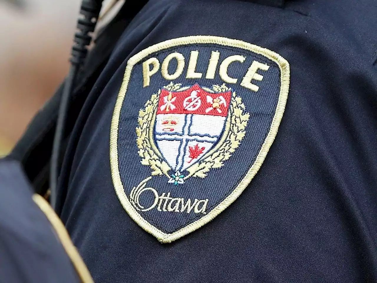 Ottawa police say no threat to safety in area of Westboro school after alarms went off