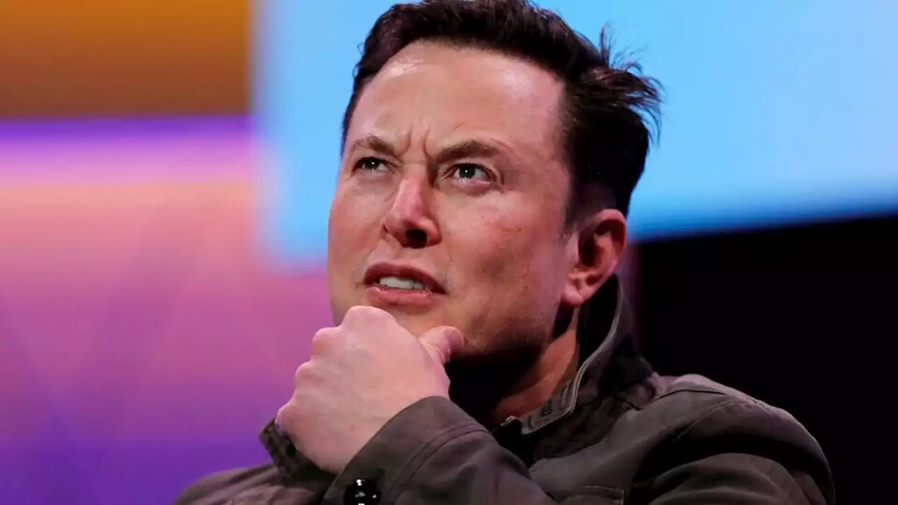 Twitter solo recomendará las cuentas verificadas por decisión de Elon Musk | 'Es la única manera de abordar el control de las granjas de bots', aseguró