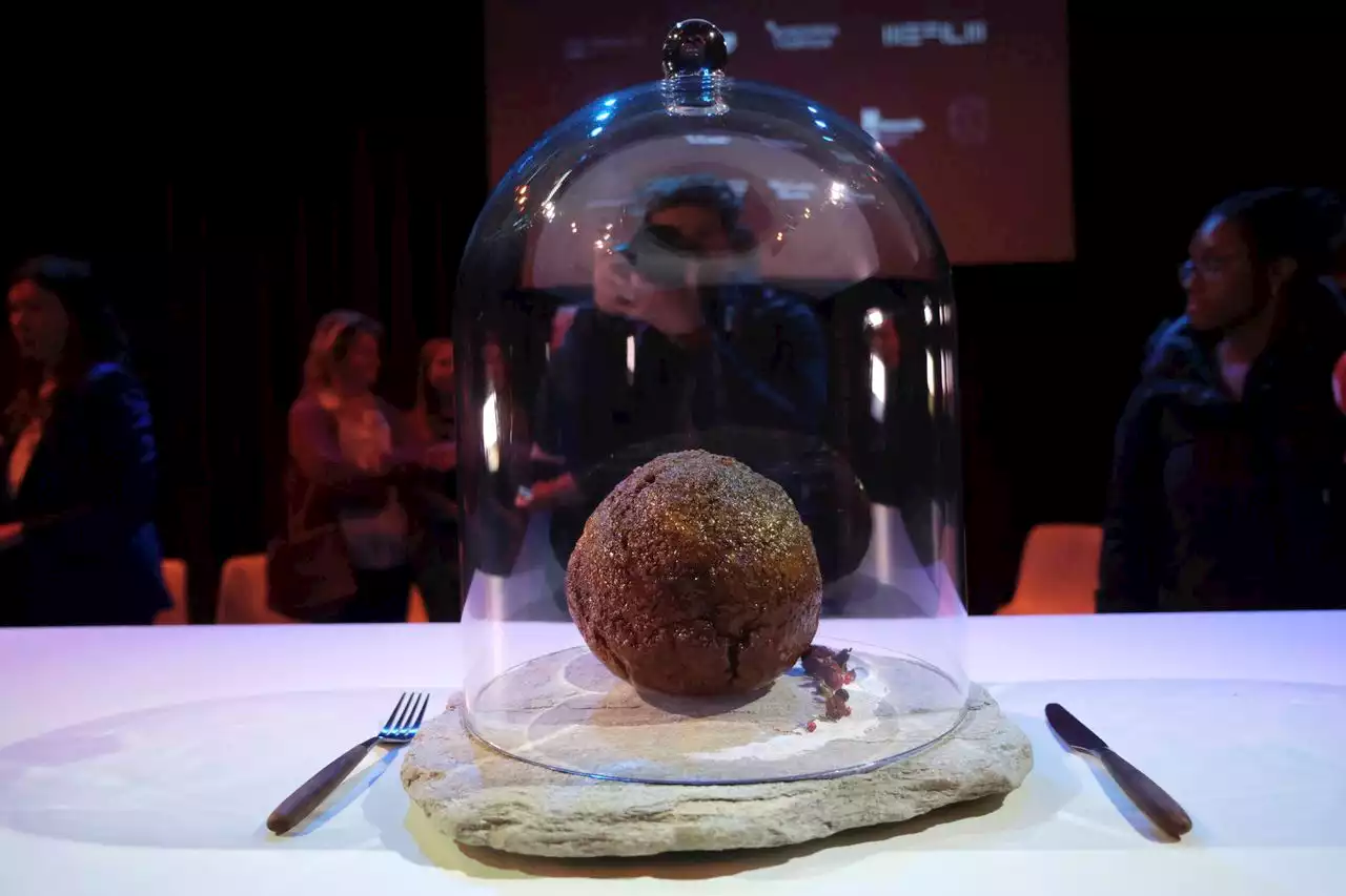 Company makes massive meatball from lab-grown mammoth meat