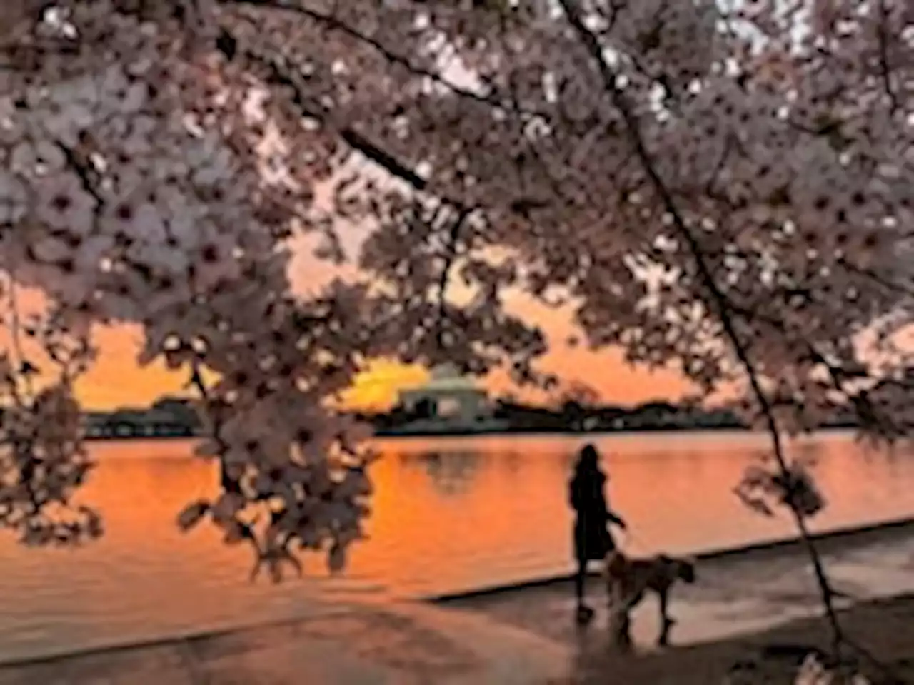 D.C.-area forecast: Calm through tomorrow; stormy late Friday and Saturday with rain and wind