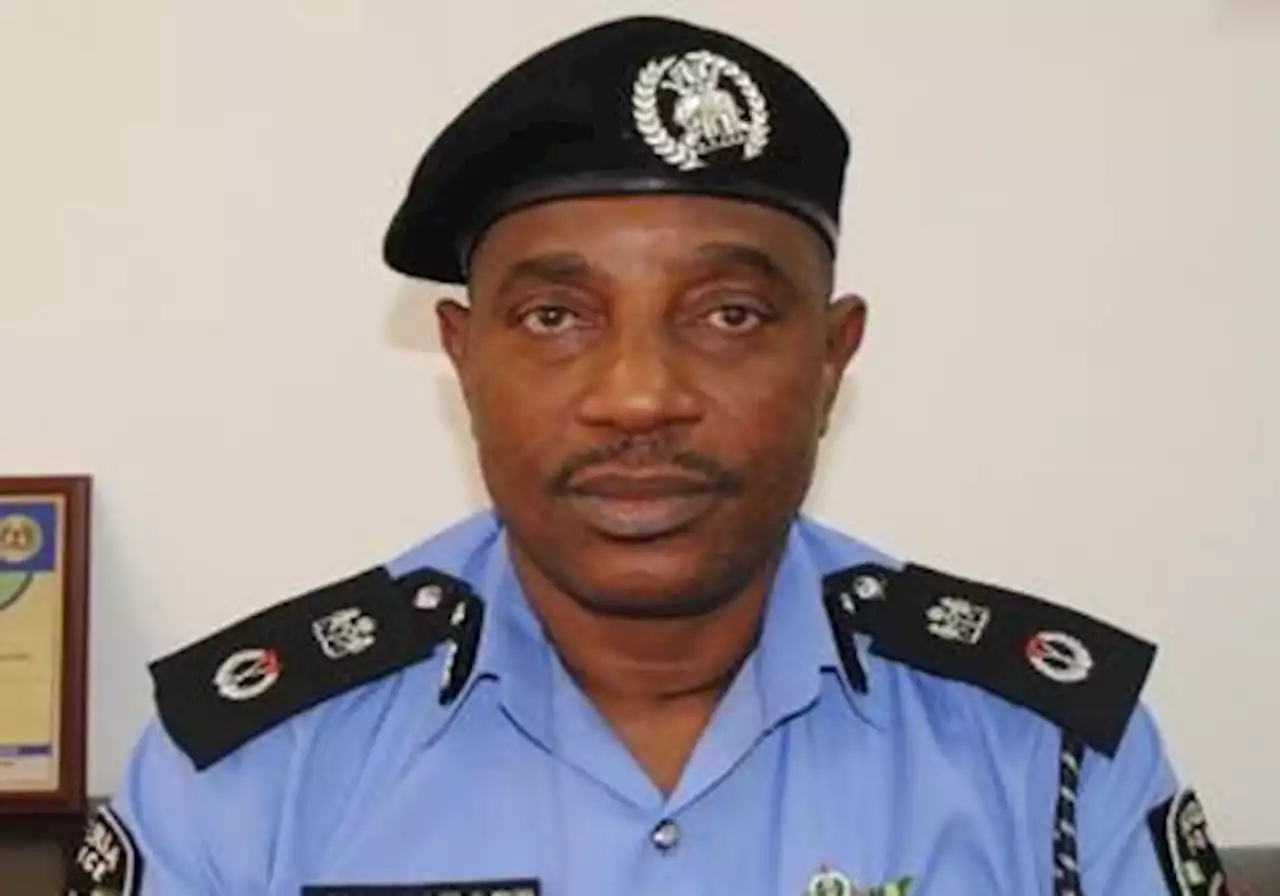 How we'll address corruption, indiscipline in Nigeria Police - PSC Chairman Arase