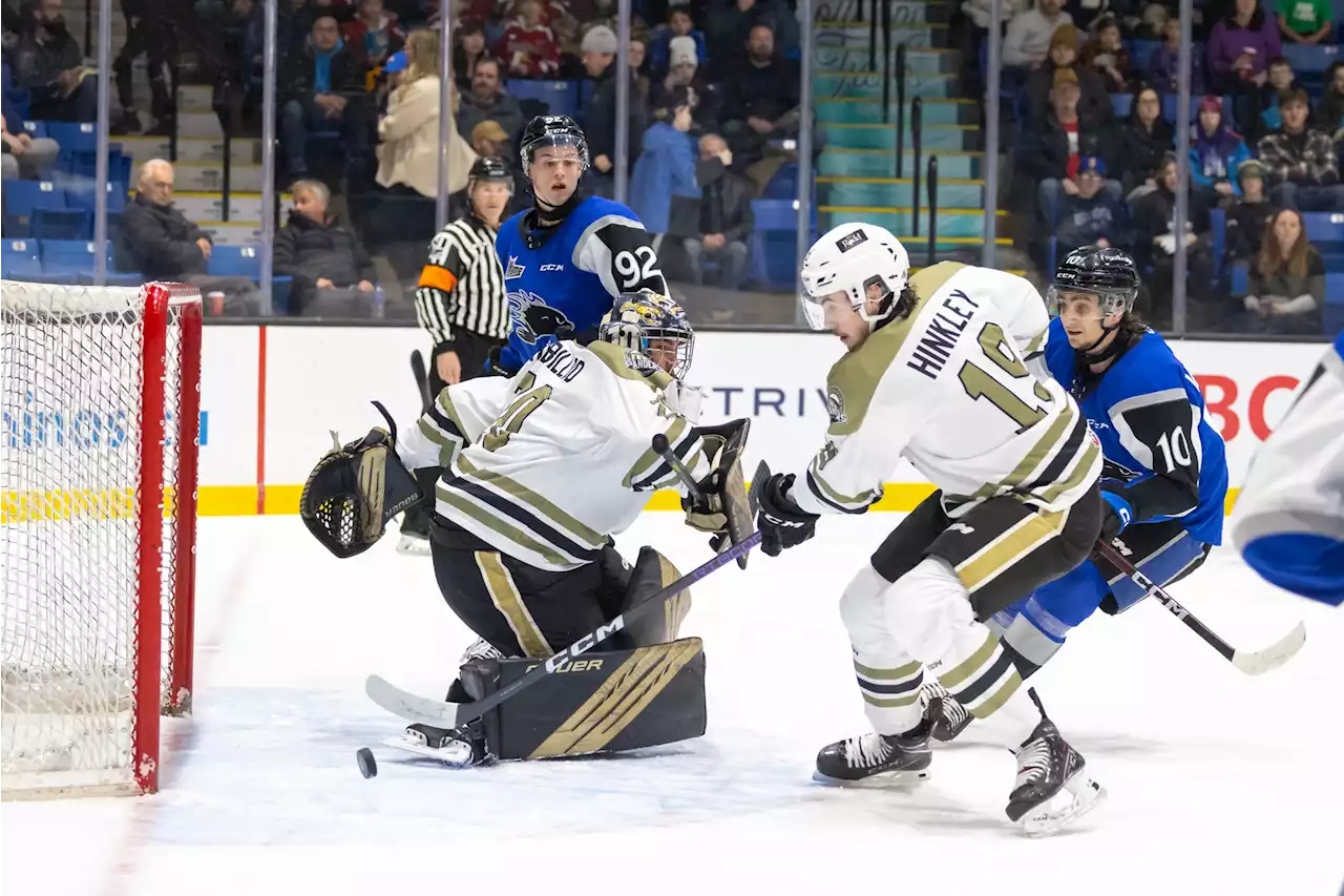 Robillard a perfect fit for P.E.I.'s Charlottetown Islanders | SaltWire