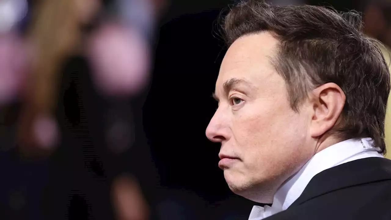 Elon Musk and experts say AI development should be paused immediately