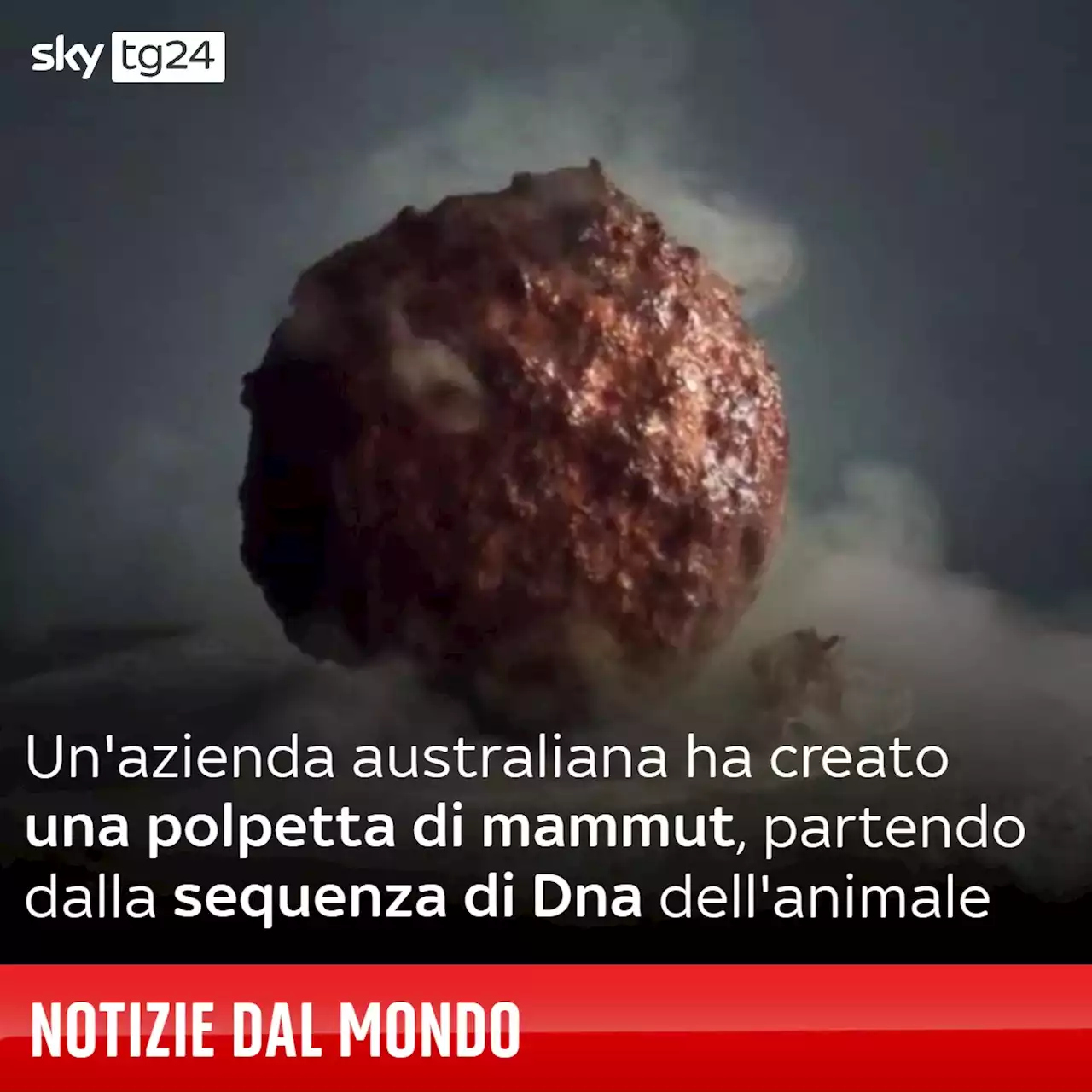 Carne sintetica, azienda australiana crea polpetta di mammut