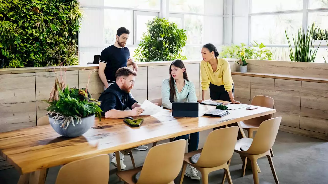 Grüne Start-ups : Frauen gründen häufiger nachhaltig