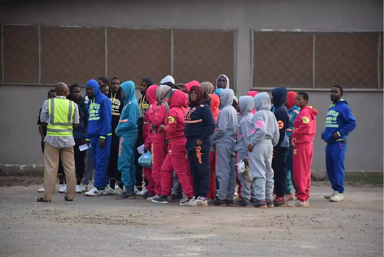 151 repatriated as FG resumes evacuation of stranded Nigerians from Libya | TheCable